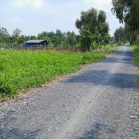 Bán Đất Vườn 2252M2 Mặt Tiền Rạch Cây Xanh Cách Đường Vành Đai 3 200M Giá Bán 13 Tỷ