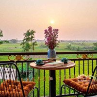 Hội An, Villa View Lúa, Góc 3 Mặt Tiền Thoáng Mát. Dòng Tiền Kinh Doanh Tốt