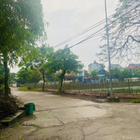 Bán Đất Nền Chính Chủ Rộng 213M2, Gần Nhiều Tiện Ích, Cụm 1 Thọ Xuân, Đường Cực Nam, Đan Phượng, Hn