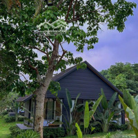 Bán Căn Villa Mini Tại Vân Hòa Sẵn Kinh Doanh Dòng Tiền