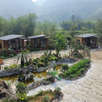 Cực Hiếm Homestay Đèo Dá Trắng Đẹp Long Lanh. Có Khu Nghỉ Dưỡng 7 Phòng Tại Thung Lũng Đèo Đá Trắng