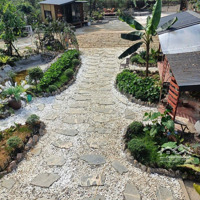 Cực Hiếm Homestay Đèo Dá Trắng Đẹp Long Lanh. Có Khu Nghỉ Dưỡng 7 Phòng Tại Thung Lũng Đèo Đá Trắng