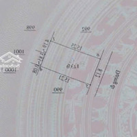 Chính Chủ Cần Bán Lô Đất Dịch Vụ 25,2Ha Vân Canh, 123,6M2 Mặt Tiền 8,12M Giá Bán Gấp Alo Trực Tiếp