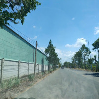 Cho Thuê Kho Diện Tích 1.000M² Mặt Tiền Siêu Rộng 100M Gần Kcn Châu Đức