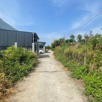 Ngân Hàng Phát Mại Lô Đất 686.2M2 Tại Nghĩa Thành, Châu Đức Giá Bán 2,041 Tỷ (Ms Dương)