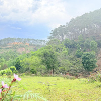 Bán 2200M2 Đất Trong Làng Du Lịch Kon Vơng Kia Giá Chỉ 1Ty7