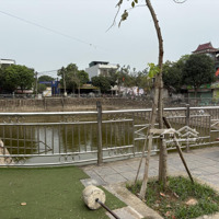 Đường Ôtô Tải Tránh Nhau - View Hồ Điều Hoà Kinh Doanh Sẵn Dòng Tiền Khu Vui Chơi Phong Cảnh