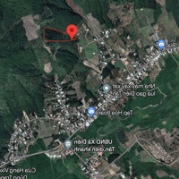 Bán Đất 1,48 Tỷ, Rộng 13.185 M2 Gần Chợ Trường Xã Diên Tân, Diên Khánh, Khánh Hòa Liên Hệ: 0788.558.552