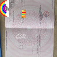 Khổ Vuông Đất Ở Hết Đường Thông Ô Tô 50M Ra Đấu Giá Và Quốc Lộ 3 Giao Thông Cực Kì Thuận Tiện