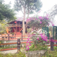Cần Nhượng Lại Homstay Làng Đom Đóm Tại Cao Sơn Lương Sơn Hoà Bình. Tổngdiện Tích5500M Có 1600M Thổ Cư.
