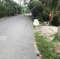Xưởng 1000M² Mặt Đường Nhựa Rộng Thuộc Nhị Bình, Hóc Môn;Diện Tích20Mx50M, Giá Bán 16,5 Tỷ; Sổ Sẵn