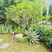 Bán Biệt Thự Song Lập Ecopark - Phân Khu Khép Kín 24/24 - 3X Tỷ