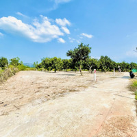 Đất Biệt Thự Suối Tiên Ngay Cụm Dân Cư Đường Thông Hơn 4M Điện Nước Tận Nơi Full Thổ Cư