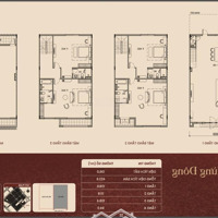 Nhà Liền Kề - Thương Phố - Đại Lộ Ban Mai 24M -Diện Tích136M2 - Giá Thanh Toán Sớm 42,5 Tỷ
