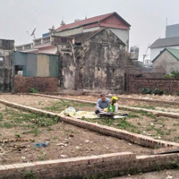 Bán Lô Đất Vuông Vắn Gần 80M2 Ngay Tại Thanh Lâm - Mê Linh. Giá Tốt, Vị Trí Đắc Địa