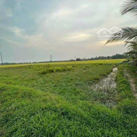 Đất Vườn Giá Rẻ Đường Huỳnh Ngọc Mai, Xã Hướng Thọ Phú, Tân An, Long An