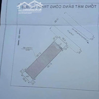 Bán Đất Biệt Thự Công Viên Cây Xanh Liên Phường 156M2, Phước Long B, Quận 9, 12,2 Tỷ
