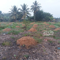 Đất Thổ Giá Rẻ Vành Đai Mỹ Phú Ql62 Thích Hợp Làm Nhà Vườn - Sinh Lời Tốt