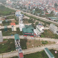 Gia Đình Có 4 Ô Dv Song Phươngdiện Tích48M2 Muốn Gl Với Ace