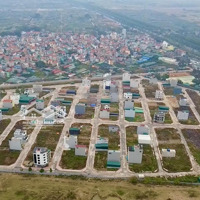 Gia Đình Có 4 Ô Dv Song Phươngdiện Tích48M2 Muốn Gl Với Ace