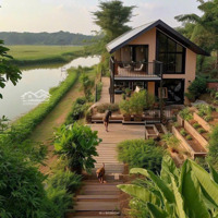 Đất Lúa 47X51M Giá Rẻ Hướng Thọ Phú, Tân An, Đất Vuông Đẹp Thích Hợp Làm Nhà Vườn Liên Hệ: 0919541589