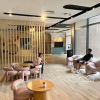 Cắt Lỗ 2 Tỷ - Vinhomes Ocean Park 2, Sao Biển 145,9M2 - 24.8 Tỷ