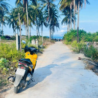 Đất Thổ Vạn Lương, Đường Thông Biển. 117.8 M, Giá Bán 1 Tỷ Xxx Triệu