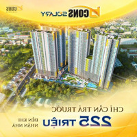Hot! Trả Trước 225 Triệu Nhận Nhà Chung Cư Bcons Solary,Chỉ Từ 1,49 Tỷ, Dưới Nhà Có Tttm