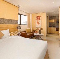 Khách Sạn 4 Sao Hà Bổng - Hiếm Có Khó Tìm 14 Tầng 56 Phòng, Dòng Tiền 500 Triệu/Tháng. 0935807937