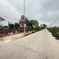 Chính Chủ Cần Bán Gấp Lô Đất Đẹp Giá Rẻ Tại Tân Lãng, Lương Tài, Bắc Ninh