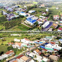 Bán Gấp 125 M2 Đất Thổ Cư Hàm Thắng - Trục Chính Cá Đông, Thành Phố Phan Thiết