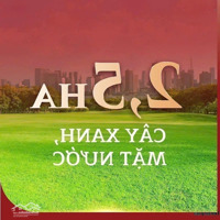 Mở Bán Quỹ Căn Chung Cư Cao Cấp Hausman, 12 Tầng Căn Hộ, 3 Tầng Hầm Để Xe