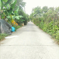 Đất Đông Thạnh, Hóc Môn;Diện Tích1400M2 Quy Hoạch Nông Nghiệp, Rất Thích Hợp Làm Nhà Vườn Nghĩ Dưỡng