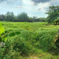 Đất Đông Thạnh, Hóc Môn;Diện Tích1400M2 Quy Hoạch Nông Nghiệp, Rất Thích Hợp Làm Nhà Vườn Nghĩ Dưỡng