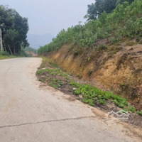 Bán Đất 1000M2 Sẵn Thổ Cư, Tam Nông, Phú Thọ, Giá Chỉ 750K/M2 ,Gần Sân Golf,Và Khu Công Nghiệp