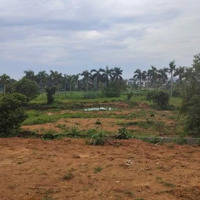 Bán Đất 1000M2 Sẵn Thổ Cư, Tam Nông, Phú Thọ, Giá Chỉ 750K/M2 ,Gần Sân Golf,Và Khu Công Nghiệp