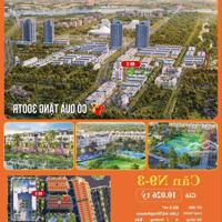 Quỹ Căn Giá Rẻ Nhất Dự Án Hoàng Huy Newcity
