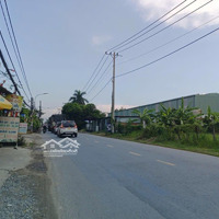 Đất Thương Mại Dịch Vụ, Mặt Tiền Bùi Công Trừng, Hóc Môn;Diện Tích2800M2, Đường Container, Giá 25 Triệu/M2