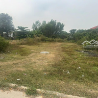 Hàng Hiếm Tại Hùng Vương, 12 Triệu / M2, 639 M2, Nhơn Trạch, Đồng Nai