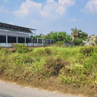 Bán Đất 1152M2 (21X 62.7M) Mặt Tiền Nguyễn Trọng Thế, Gần Khu Đô Thị Vinhomes Hậu Nghĩa, Đức Hòa