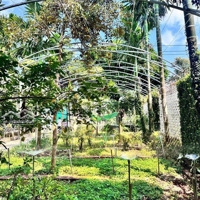 Cho Thuê Villa Sân Vườn 500M2 4 Phòng Ngủ Đầy Đủ Nội Thất Mặt Tiền Ymoal Thành Phố Buôn Ma Thuột