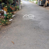 Cần Bán Đất Mặt Tiền Đường Nhựa Chính Chủ - Tại Xã Bình Hàng Trung, Cao Lãnh, Đồng Tháp