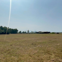 Bán Đất Giá Rẻ Ninh Thọ Bình Sơn, 2000M2 Chỉ 500K/M2, Gần Tl1A