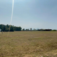 Bán Đất Giá Rẻ Ninh Thọ Bình Sơn, 2000M2 Chỉ 500K/M2, Gần Tl1A