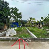Chủ Nhà Gửi Bán 64,3M2 (Ont) Tại Vĩnh Tuy, Liên Nghĩa, Văn Giang, Đường Thông Thoáng, Vị Trí Tốt