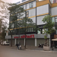 Cho Thuê Nhà Mặt Phố Lạc Long Quân,Diện Tích320M2, Mặt Tiền 10M, Cân Hết Các Showroom Oto