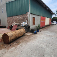 Còn Sót Lô 100M Khu Đấu Giá X4 Hà Phong Liên Hà. Vị Tí Đẹp Tiềm Năng Liên Hệ: 0398.500.430 Để Có Giá Tốt