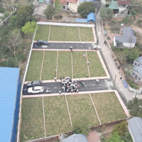 Bán Đất Phú Thịnh, 23 Triệu / M2, 100M2, Hàng Hiếm Tại Minh Phú, Sóc Sơn