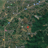 Bán Đất Tại Xã Phú Thành, Lạc Thủy, Hòa Bình, 700 Nghìn / M2, 663 M2