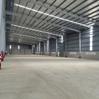 Cho Thuê Kho Xưởng Ngay Cảng Quốc Tế Long An . Huyên Cần Giuộc